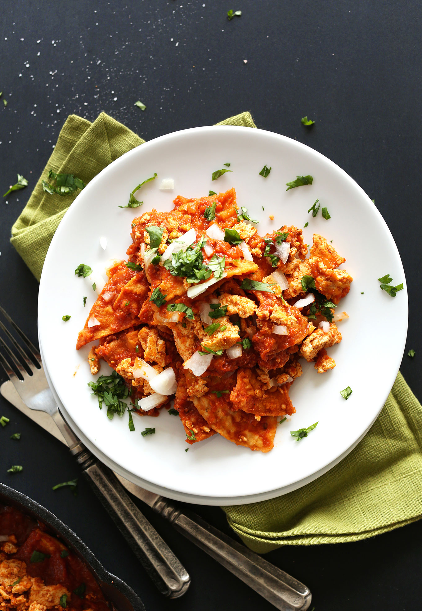 Plate of our amazing Vegan Chilaquiles with DIY Baked Chips