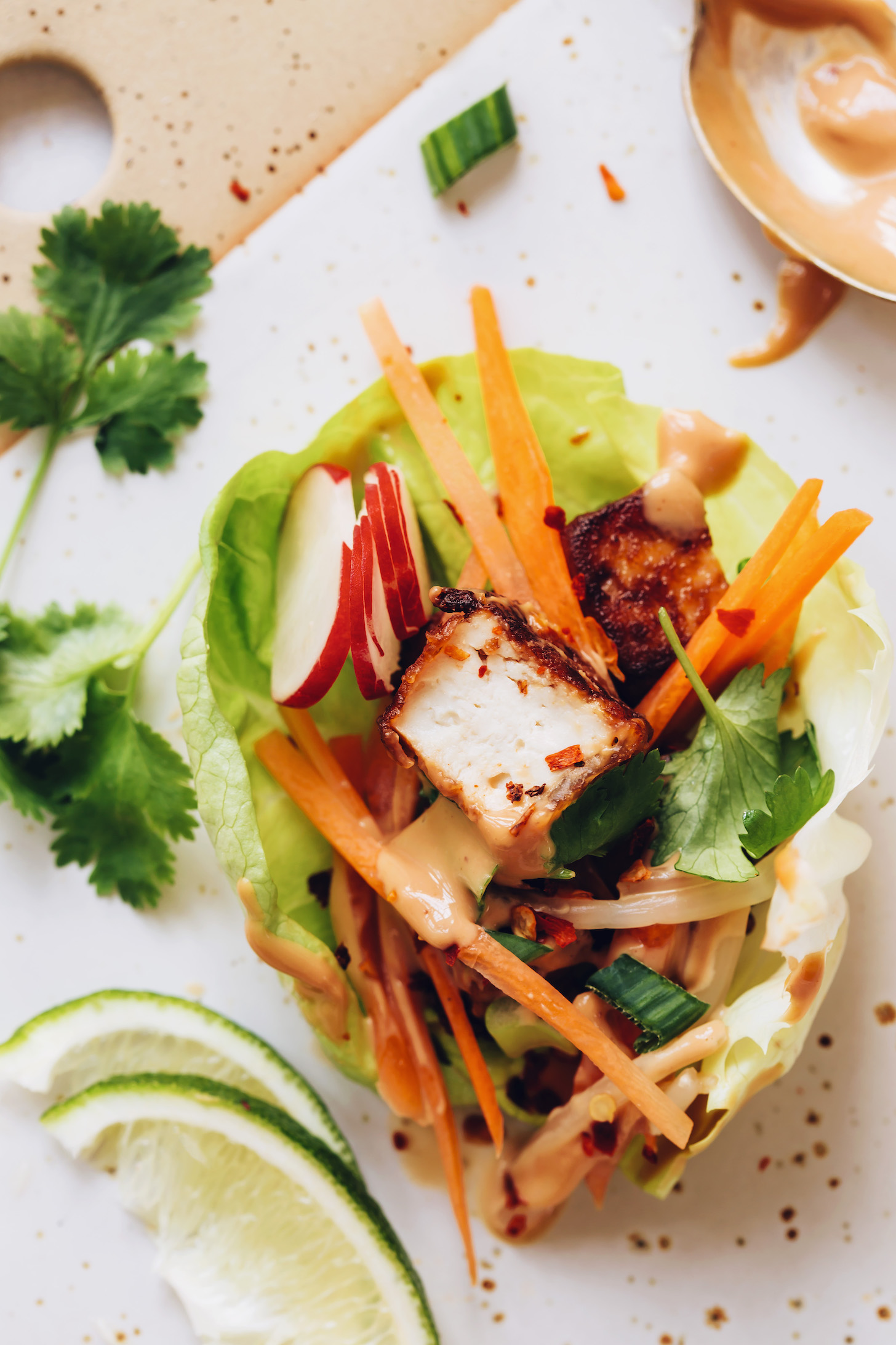 Close up shot of an Asian-inspired tofu lettuce wrap