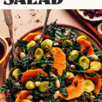 Overhead photo of a bowl of our vegan gluten-free roasted fall vegetable salad