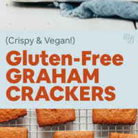 Stack and cooling rack of crispy gluten-free and vegan graham crackers